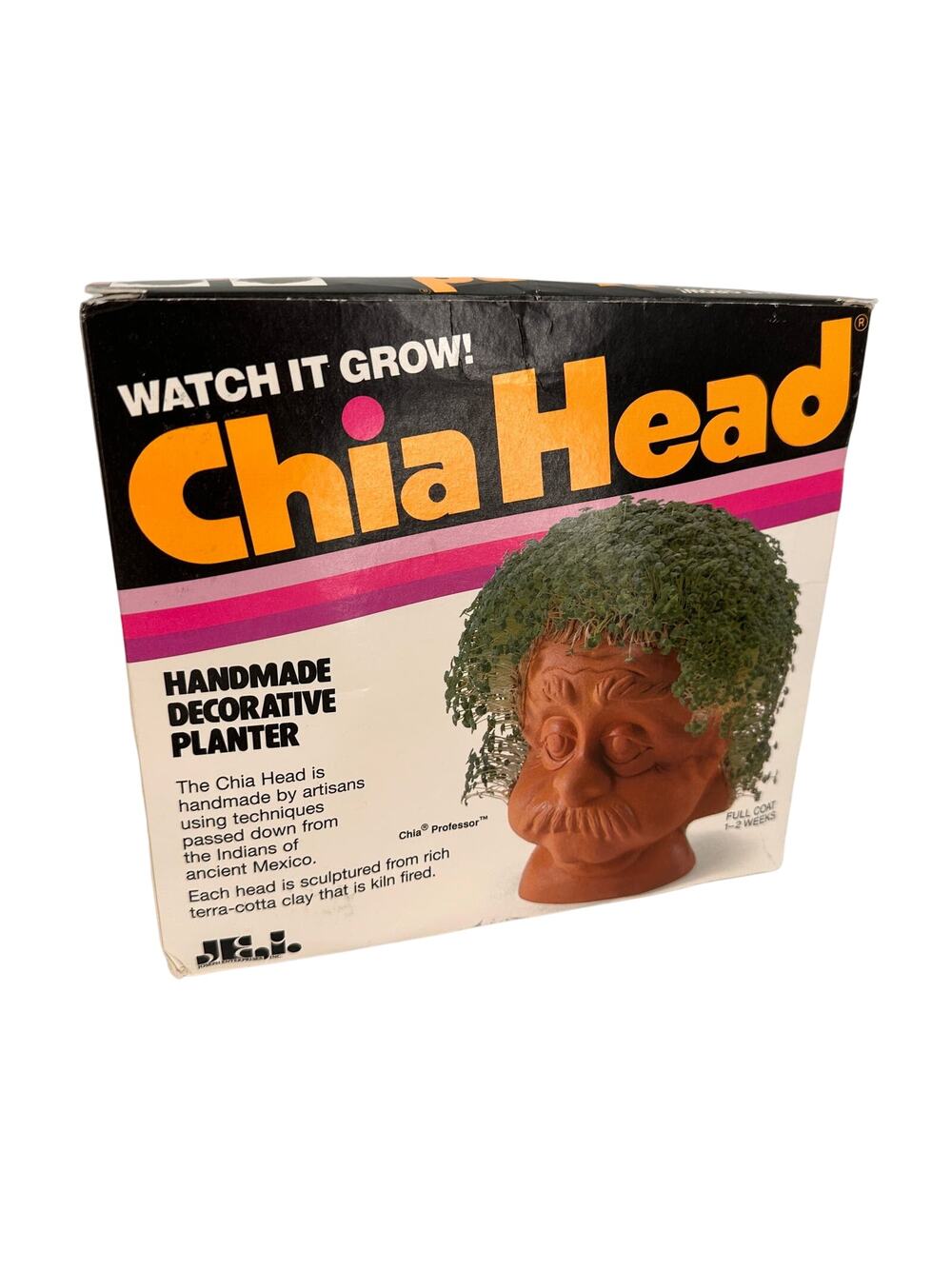 Chia-Head Professor Vintage Decorative Planter in Box